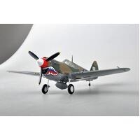 Easy Model 1/48 P-40M China 1945 Assembled Model [39313]