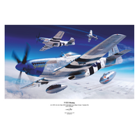 Eduard 1/48 P-51D-5 Plastic Model Kit [84172]
