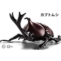 Fujimi Biology Edition Beetle (FI No.21) Plastic Model Kit [17072]