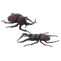 Fujimi Biology Edition Beetle vs Stag Beetle Showdown Set (FI No.25) Plastic Model Kit [17086]