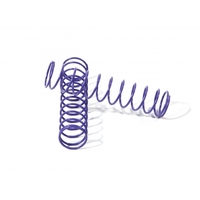 HPI 6799 SPRING 13X70X1.1MM 12 COILS