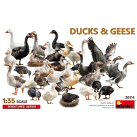 MiniArt 1/35 Ducks & Geese Plastic Model Kit