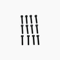 MJX Screw 3X16mm (12pcs) [H8H]