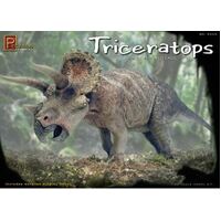 Pegasus 1/24 Triceratops 3 Horned Face Dinosaur