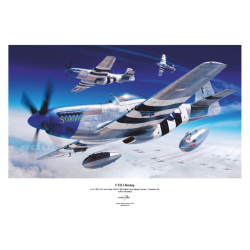 Eduard 1/48 P-51D-5 Plastic Model Kit [84172]