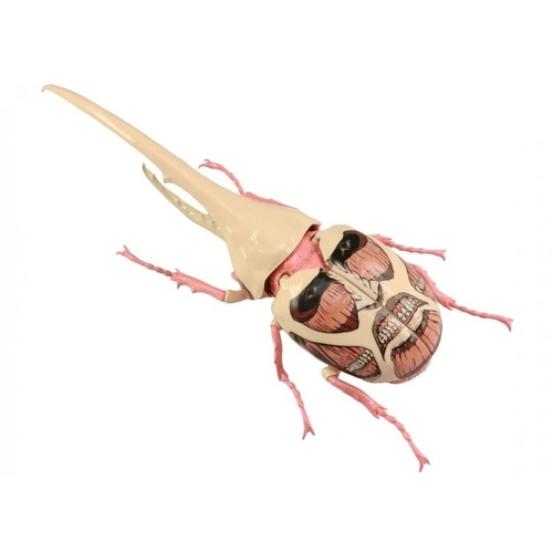 Fujimi Attack on Titan Ver. Hercules Beetle Colossus Titan [FI No.262] Plastic Model Kit