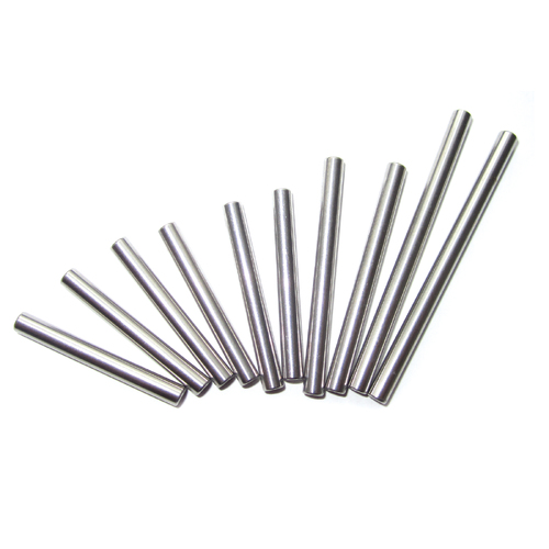 LRP Hinge Pin Set (10pcs) - S10 Twister