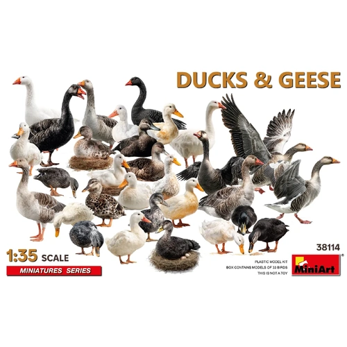 MiniArt 1/35 Ducks & Geese Plastic Model Kit