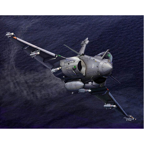 Trumpeter 1/144 French Rafale M
